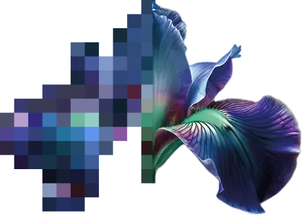 ¿A què nos dedicamos?